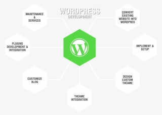 Akeans Has Remained A Leading Custom Wordpress Development - Wordpress Theme Development Services #9701211