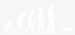 Human Evolution Star Wars #9701415