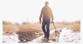 Man In Snow - Dog Walking #9701631