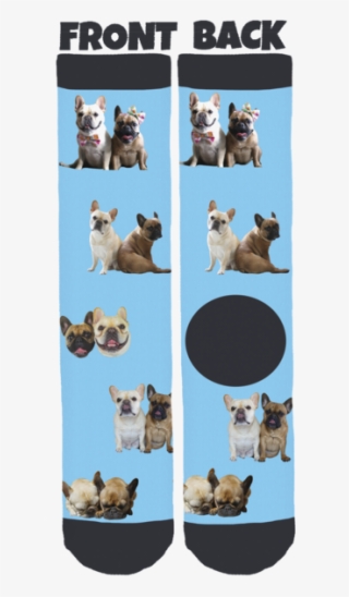 Elvis & Coco Bean The Frenchies Crew - Sock #9701687