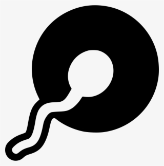 Png File - Circle #9702175