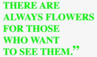 Flowers-quote - Cayo Costa State Park #9703493