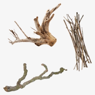 Photo By - - Wood #9704326