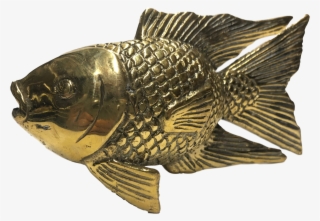 Cast Brass Koi Fish Finished In A Golden Shiny Color - Carp #9704899
