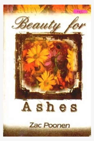 Beauty For Ashes - Tagetes Patula #9705134