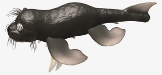 Slimecoat Otter - California Sea Lion #9705832