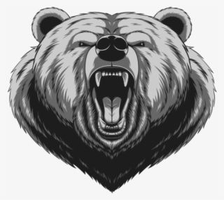 600 X 600 3 - Angry Bear Head #9705970