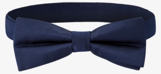 Navy Plain Bow Tie - Paisley #9708631