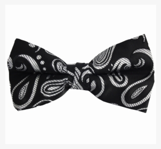 Detailed Colour Bowtie Detailed Colour Bowtie - Paisley #9709431