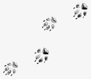 Where The Wild Things Are - Emblem #9709634