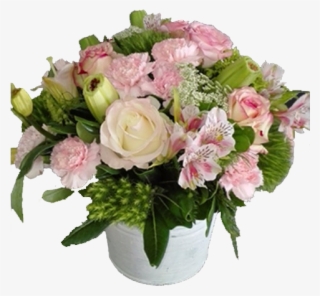 Destellos De Alegria - Garden Roses #9709936