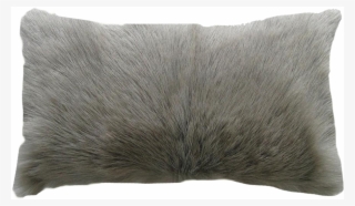 Pillows Transparent #9710141