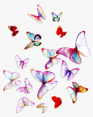 Butterflies Mariposas Colorful Png Mariposas Png Colorful - 11 Days Left Of School #9710264