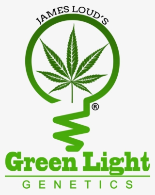 James Loud's Green Light Genetics Is A New Brand Created - Emblem #9710348