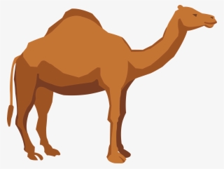 Camel Png #9710643 Camel Png #9710643