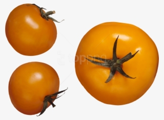 Download Red Tomatoes Png Images Background - Жёлтый Помидор Png #9711349