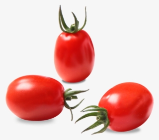 640 X 573 2 - Plum Tomato #9711496