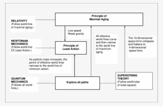 Story Line Showing The Principle Of Least Action Sandwiched - Monochrome #9711531 Story Line Showing The Principle Of Least Action Sandwiched - Monochrome #9711531