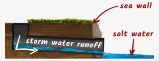 Drain A - Grass #9713044