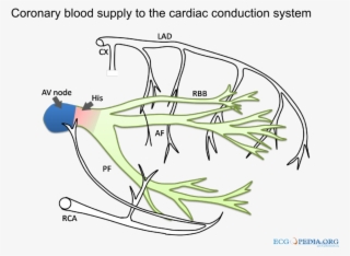 320 × 240 Pixels - Diagram #9713667