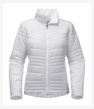 Clothing - Zipper #9713938