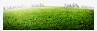 Meadow 5200*3458 Transprent Png Free Download #9714653 Meadow 5200*3458 Transprent Png Free Download #9714653