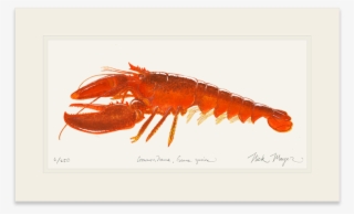 Sign Up And Get 10% Off - American Lobster #9715060