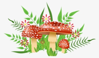 Free Png Download Mushrooms Decorative Element Clipart - Kids #9715775