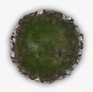 24 Mar 2009 - Hedgehog Cactus #9716089