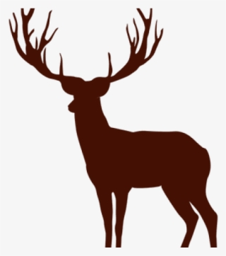 Silueta De Cabeza De Venado Png #9716777