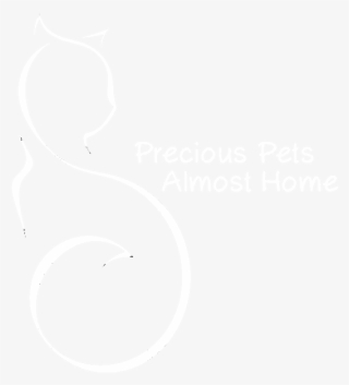 Twinkle Png - Monochrome #9716811