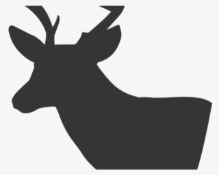 Free Deer Silhouette - Elk #9717049