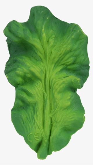 Oli & Carol Kendall The Kale - Feuille De Chou #9717057