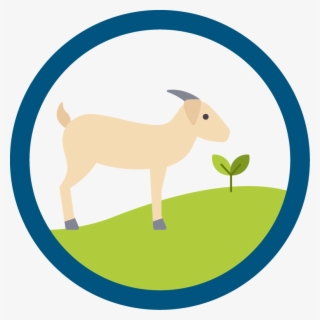 Tapestry Expeditionary Learning Icon #9718382