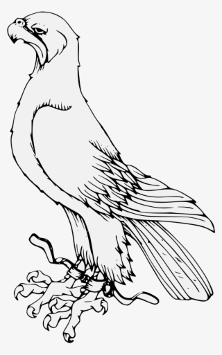 Details, Png, Svg - Osprey #9719893