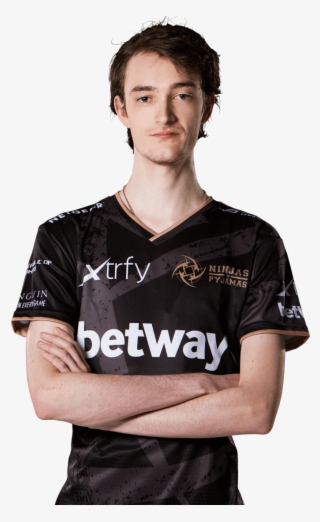 Bird - Ninjas In Pyjamas Paladins #9720514