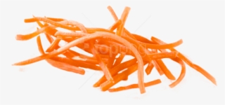 Free Png Download Sliced Carrot Png Images Background - Rallador De Zanahoria #9722270