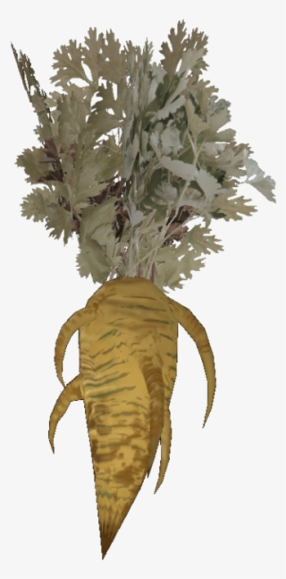 The Vault Fallout Wiki - Fallout 4 Carrot #9722356