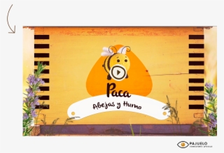 Ahora Ya Sabéis Que El Humo Provoca En Nosotras Una - Abeja Paca #9722362