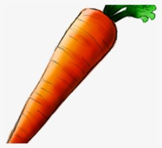 Carrot #9723000