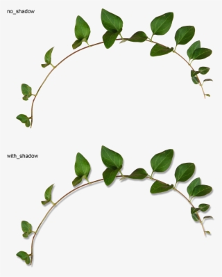 Abf A Be F Orig Flora - Вьюн Пнг #9723188