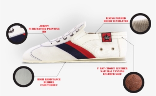 Sugashoo Anatomy - Sneakers #9723399