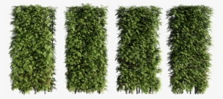 Or You Can Select It And Copy It Using Ctrl C And In - Hedge #9723838