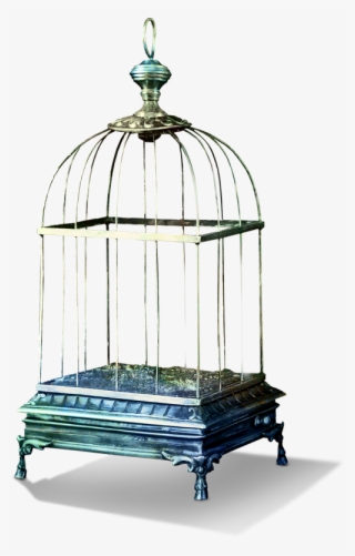 Tubes Bird Cage Png #9724327