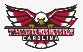 21, 2017 The City Of Winston Salem Recreation & Parks - Winston Salem Thunderbirds Hockey #9725022