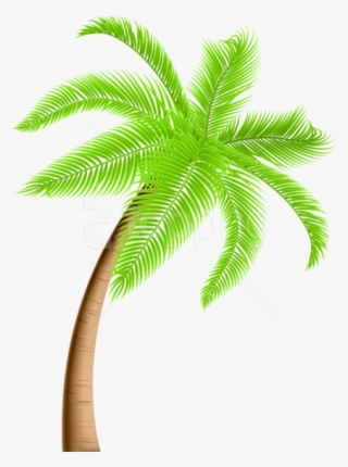 Free Png Download Palm Tree Png Png Images Background - Palm Tree Clipart Png #9726545