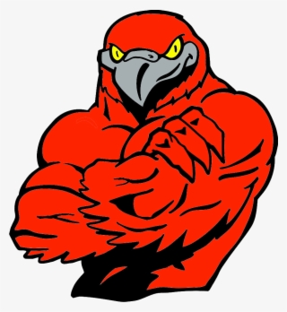 Falcons Basketball Clipart - Falcon Bird With Muscles #9728101