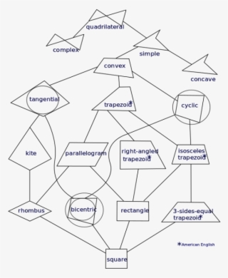 Shapes Related To The Rhombus - Hierarchy Geometry #9728268