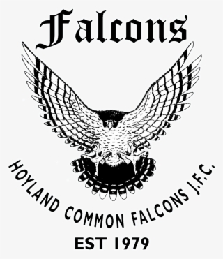 Hoyland Common Falcons Jfc - Valley View Middle School #9728328