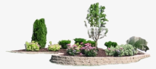 Expand Your Outdoor Living Space - Bonsai #9728800